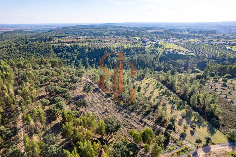 Terreno para Venda em Brogueira, Parceiros de Igreja e Alcorochel Foto 1
