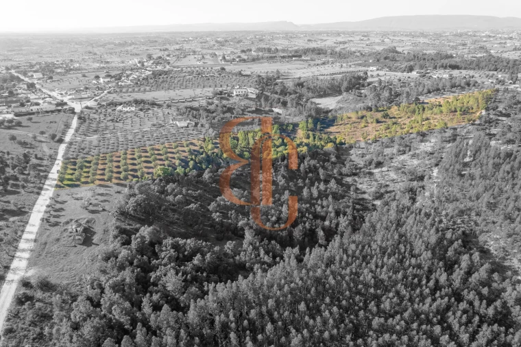 Terreno para Venda em Brogueira, Parceiros de Igreja e Alcorochel Foto 3