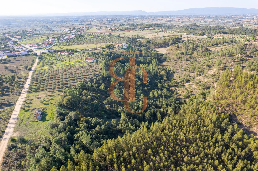 Terreno para Venda em Brogueira, Parceiros de Igreja e Alcorochel Foto 4