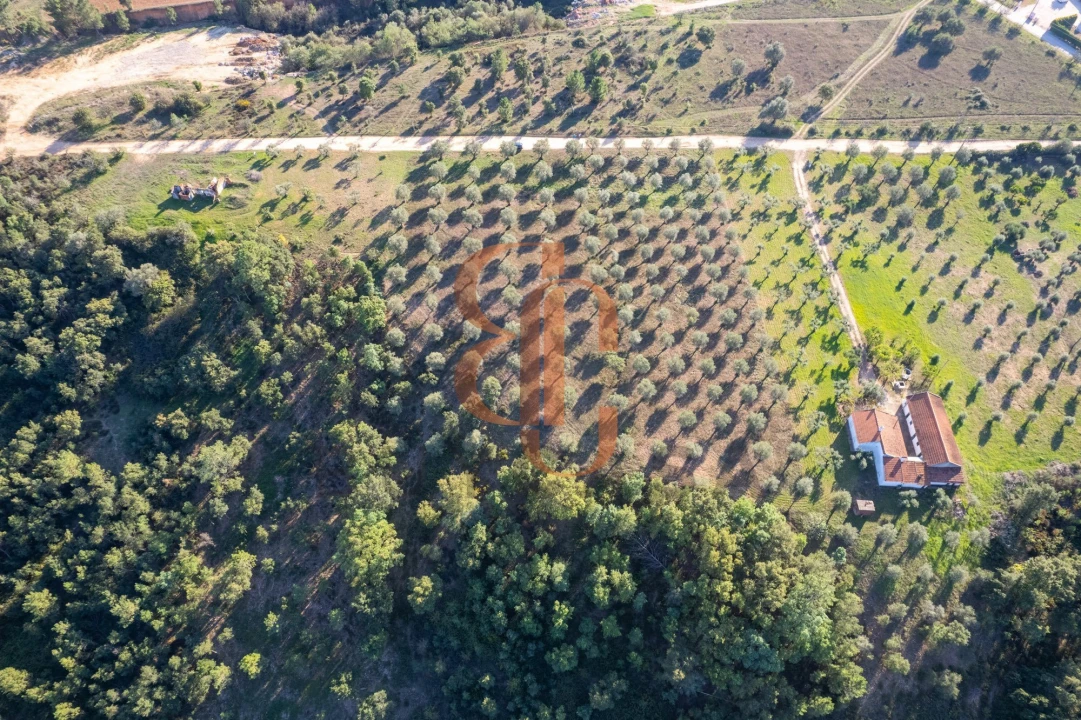 Terreno para Venda em Brogueira, Parceiros de Igreja e Alcorochel Foto 2