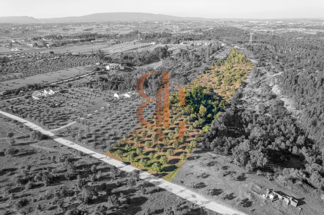 Terreno para Venda em Brogueira, Parceiros de Igreja e Alcorochel Foto 8
