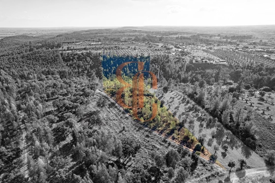 Terreno para Venda em Brogueira, Parceiros de Igreja e Alcorochel Foto 9