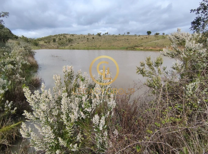 Terreno para Venda em Santa Clara-A-Velha Foto 8