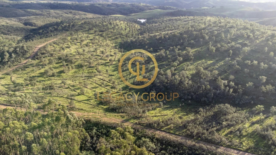 Terreno para Venda em Santa Clara-A-Velha Foto 5