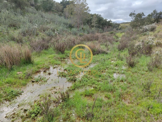 Terreno para Venda em Santa Clara-A-Velha Foto 11