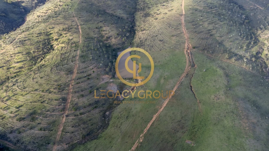 Terreno para Venda em Santa Clara-A-Velha