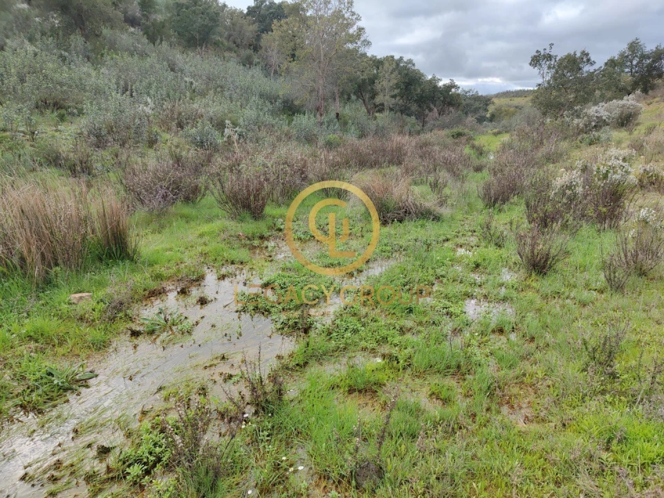 Terreno para Venda em Santa Clara-A-Velha Foto 11