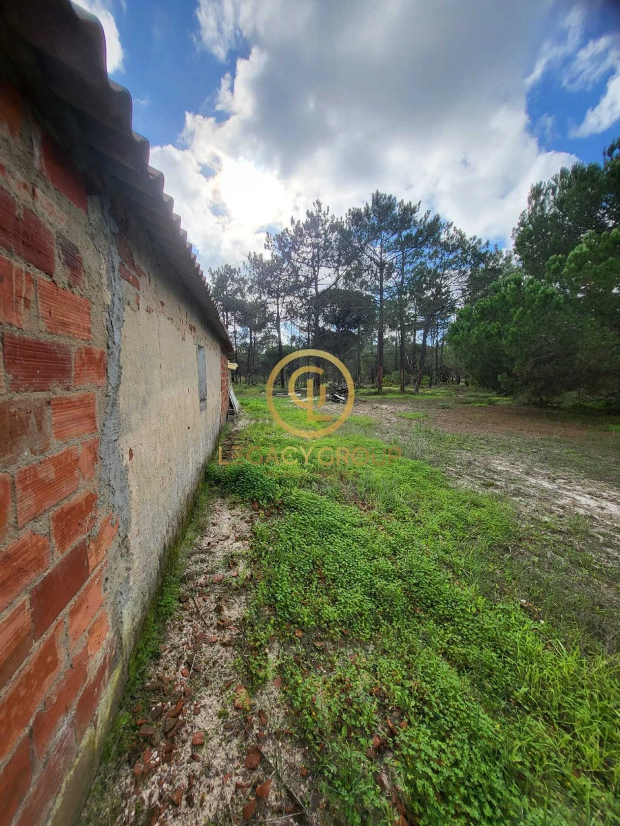 Terreno para Venda em Sines Foto 7