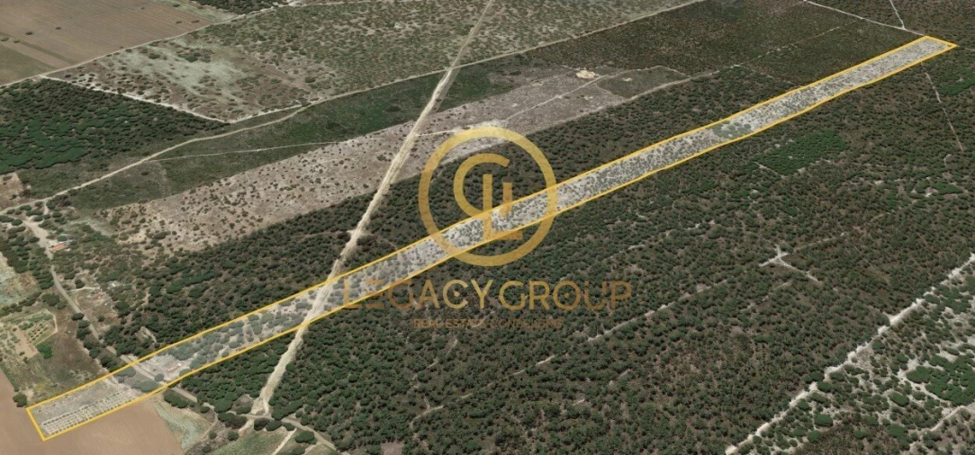 Terreno para Venda em Sines Foto 12