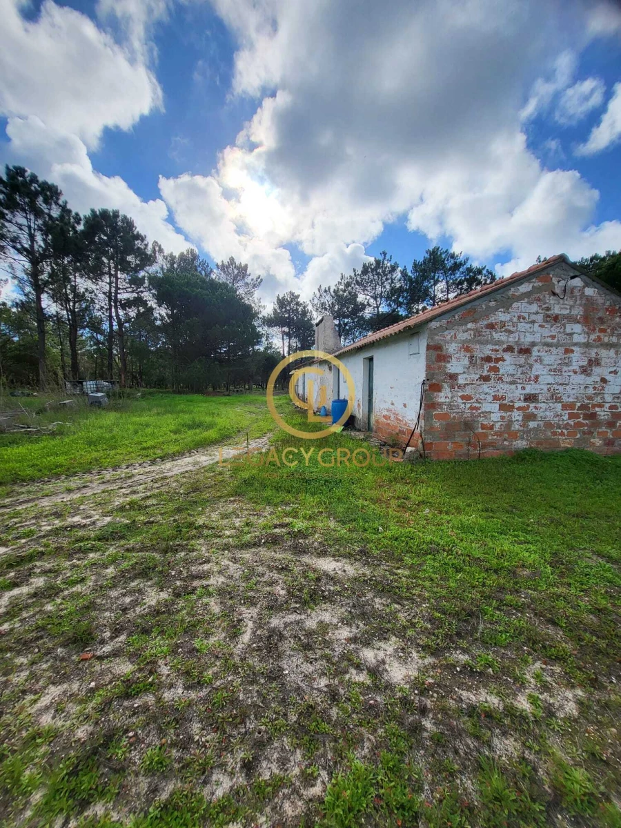 Terreno para Venda em Sines Foto 5