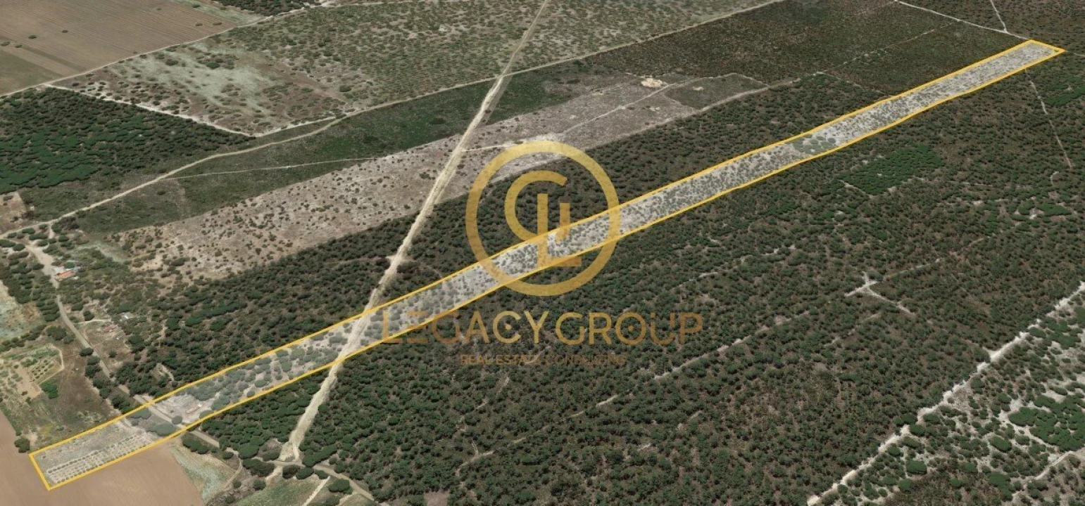 Terreno para Venda em Sines Foto 12