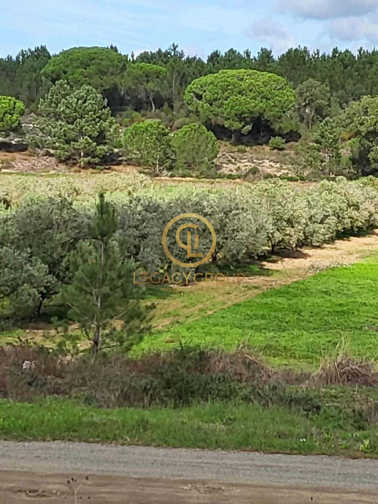 Terreno para Venda em Sines Foto 6