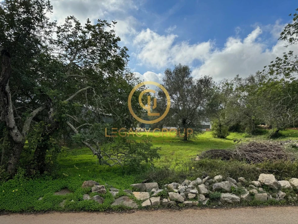 Terreno para Venda em São Brás de Alportel Foto 14