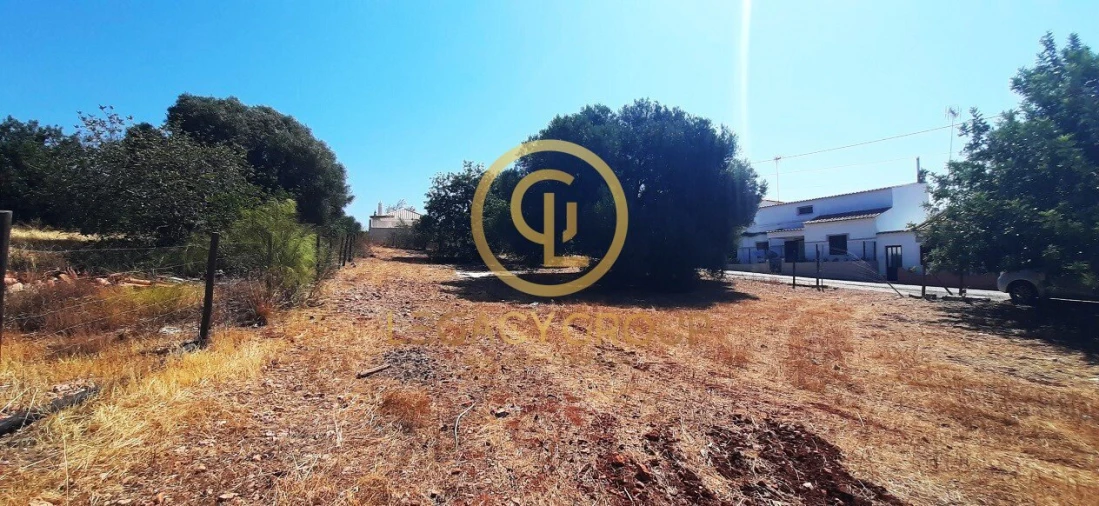 Terreno para Venda em Altura Foto 3