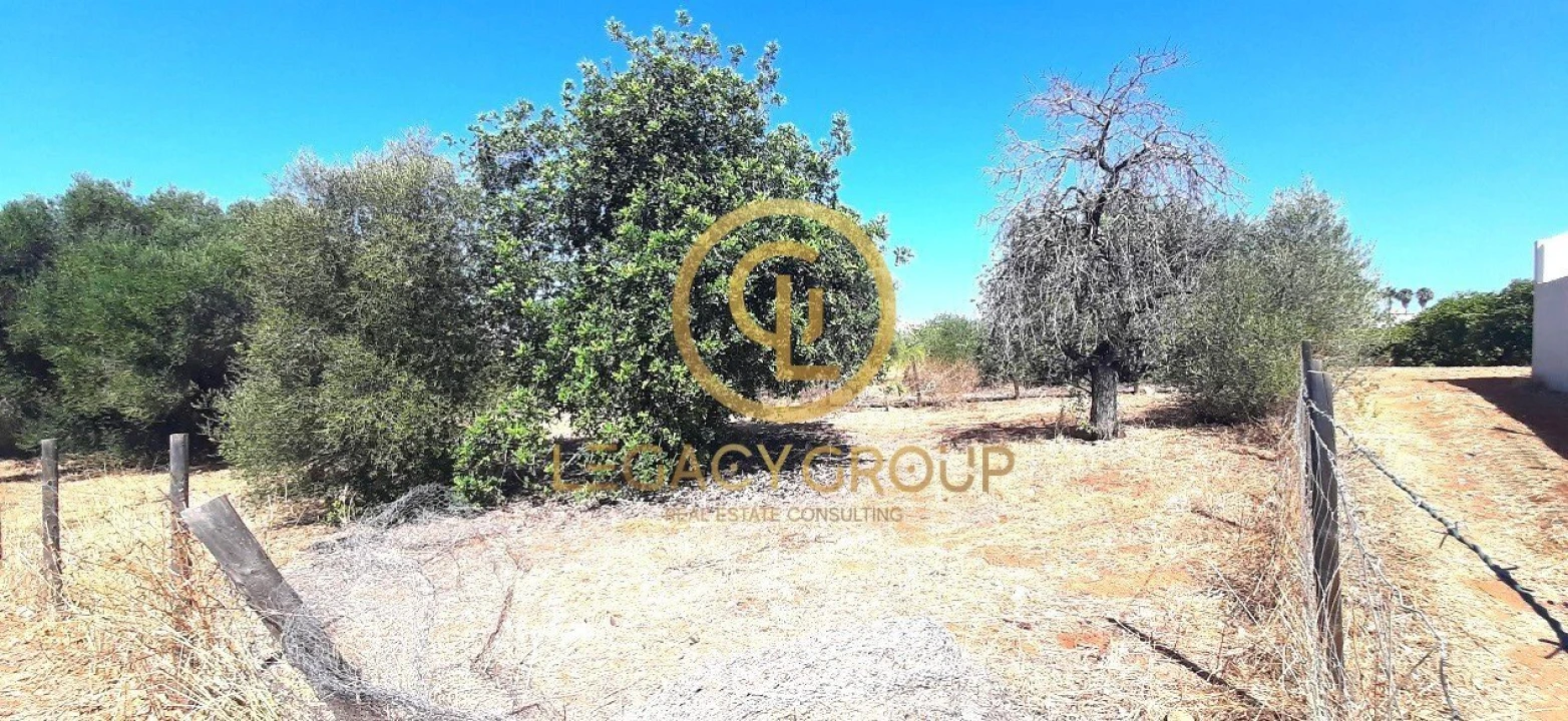 Terreno para Venda em Altura Foto 7