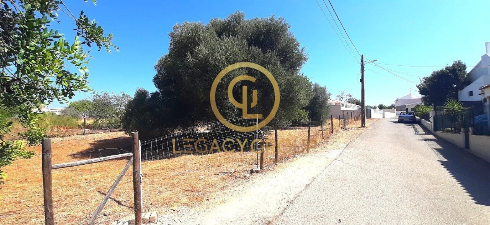 Terreno para Venda em Altura Foto 5