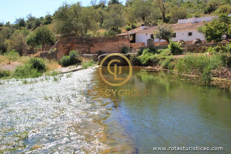 Terreno para Venda em Paderne Foto 11