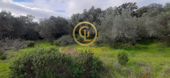 Terreno para Venda em Alcoutim e Pereiro