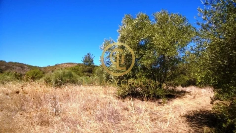 Terreno para Venda em Alcoutim e Pereiro