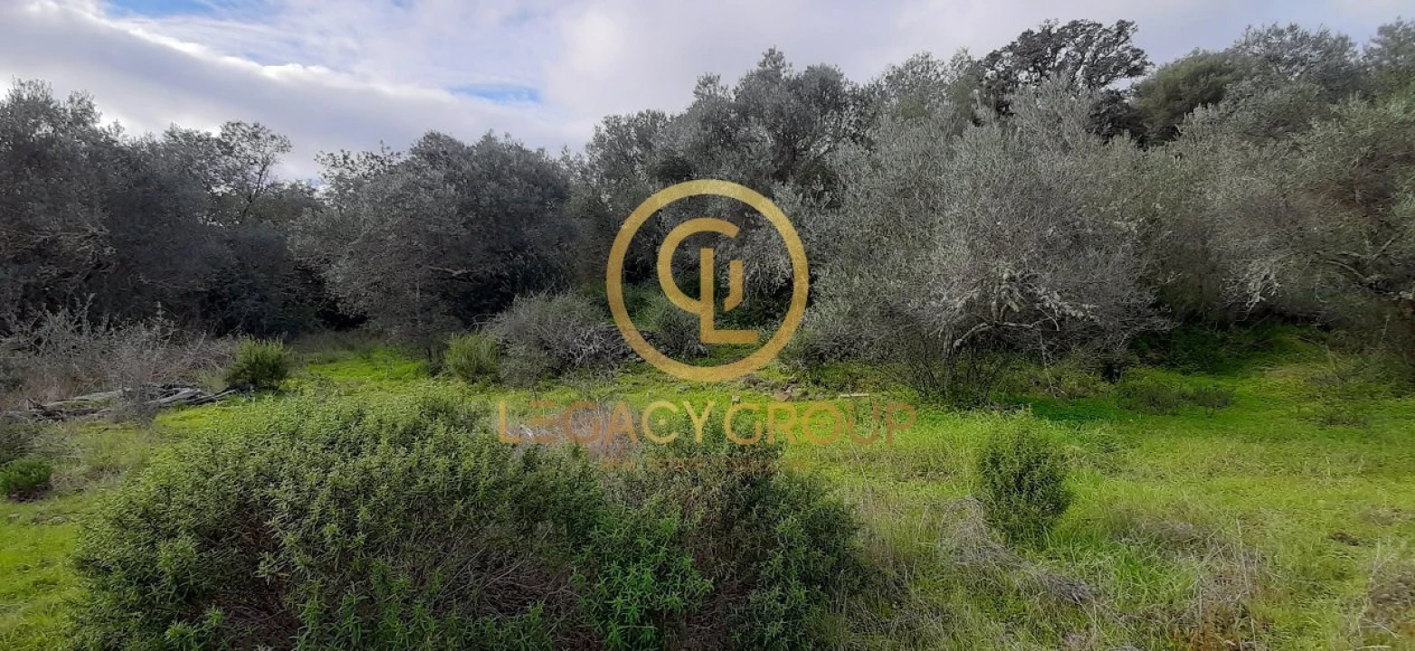 Terreno para Venda em Alcoutim e Pereiro Foto 7