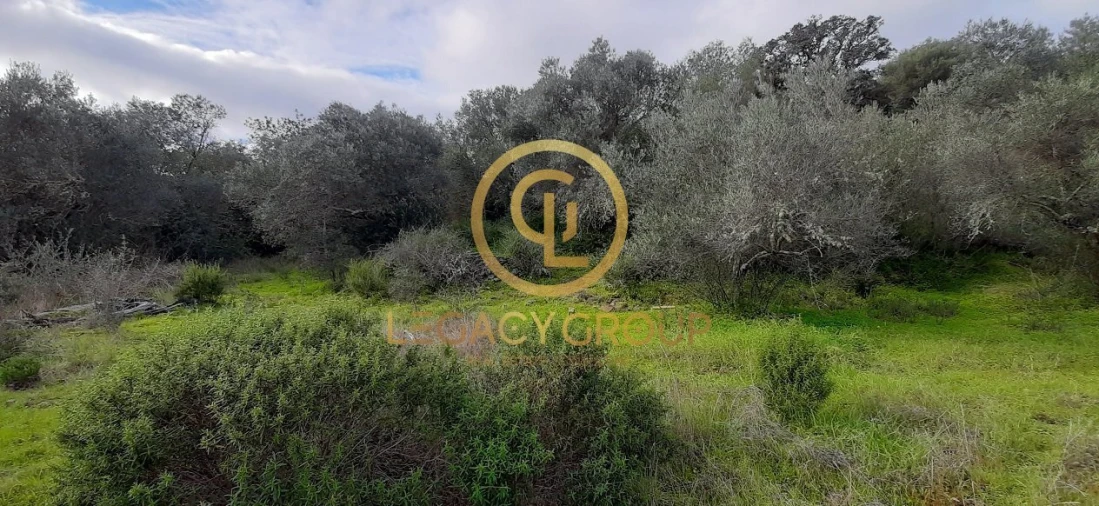 Terreno para Venda em Alcoutim e Pereiro Foto 7