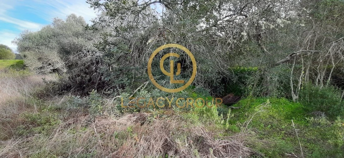 Terreno para Venda em Alcoutim e Pereiro Foto 3