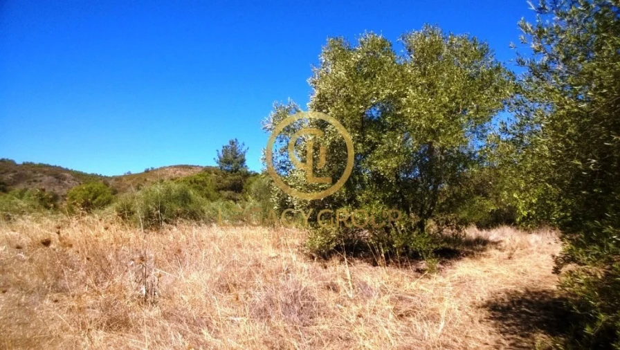 Terreno para Venda em Alcoutim e Pereiro Foto 9