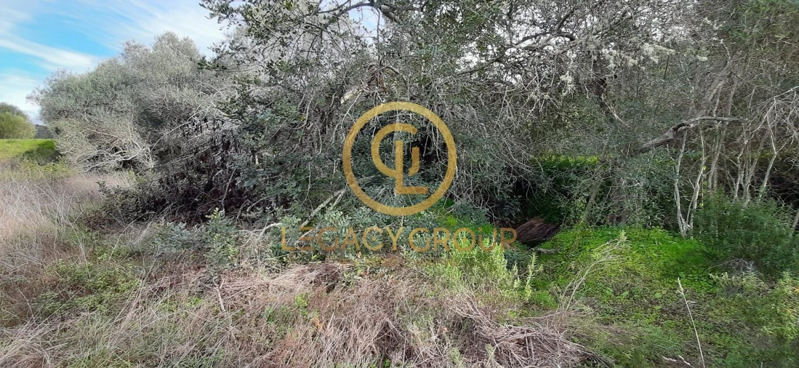 Terreno para Venda em Alcoutim e Pereiro Foto 3