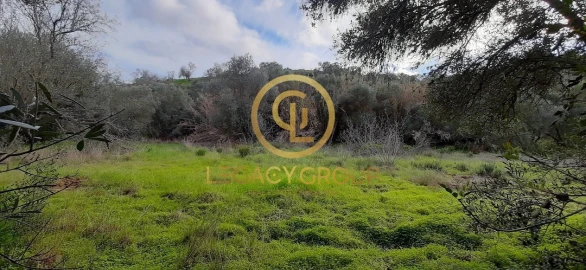 Terreno para Venda em Alcoutim e Pereiro