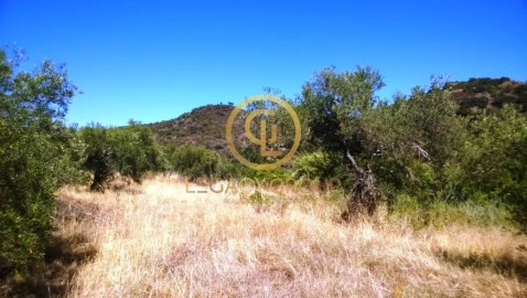 Terreno para Venda em Alcoutim e Pereiro