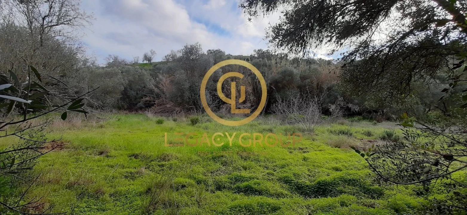 Terreno para Venda em Alcoutim e Pereiro Foto 1