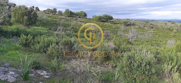 Terreno para Venda em Alcoutim e Pereiro