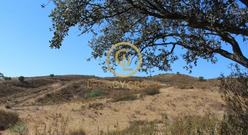 Terreno para Venda em Alcoutim e Pereiro