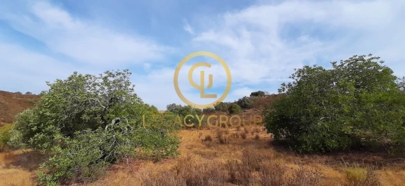Terreno para Venda em Alcoutim e Pereiro