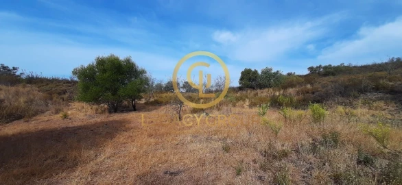 Terreno para Venda em Alcoutim e Pereiro