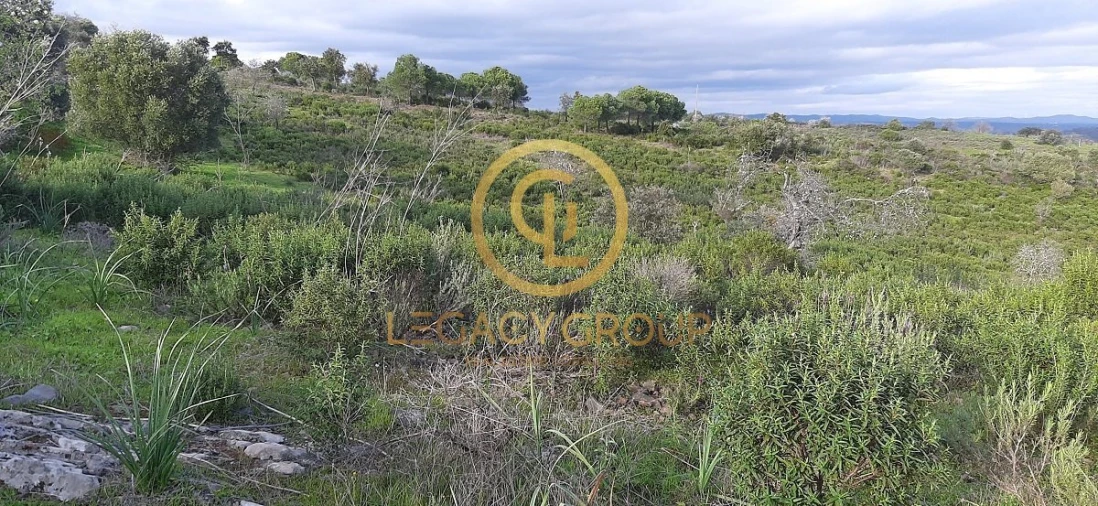 Terreno para Venda em Alcoutim e Pereiro Foto 9