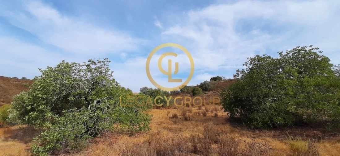 Terreno para Venda em Alcoutim e Pereiro Foto 8