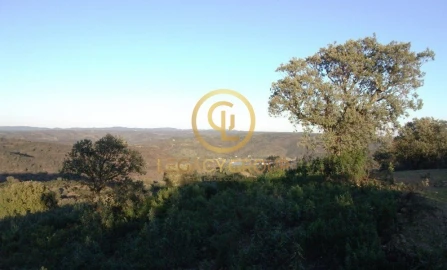 Terreno para Venda em Alcoutim e Pereiro