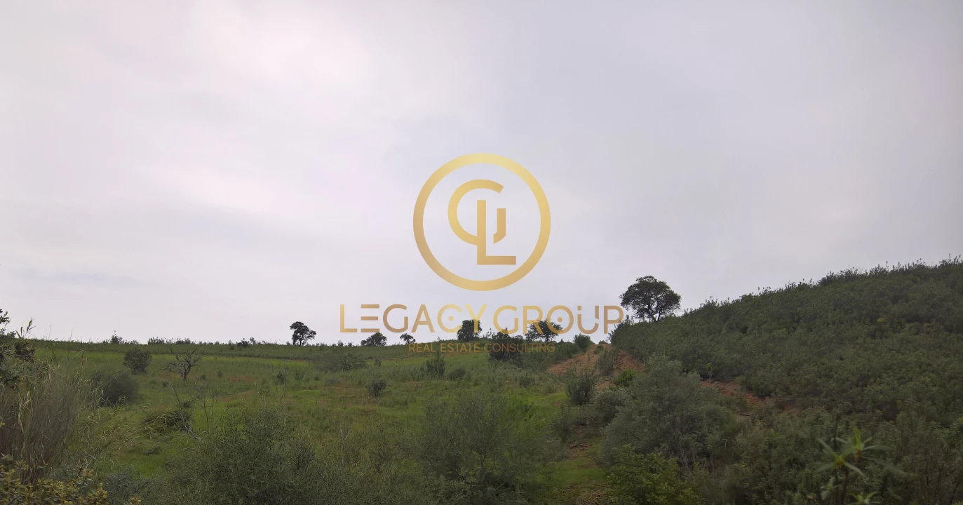 Terreno para Venda em Alcoutim e Pereiro Foto 8
