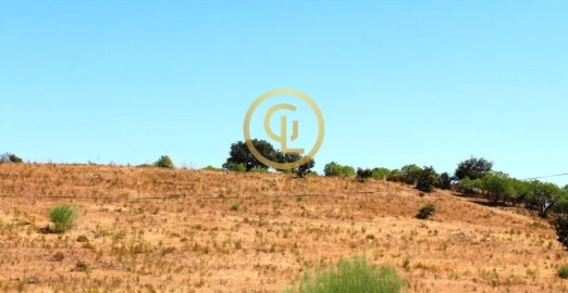Terreno para Venda em Alcoutim e Pereiro
