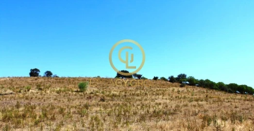 Terreno para Venda em Alcoutim e Pereiro