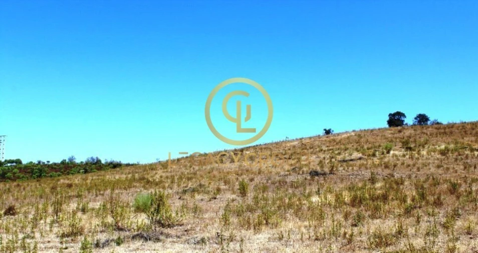 Terreno para Venda em Alcoutim e Pereiro Foto 5