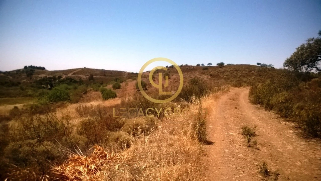 Terreno para Venda em Azinhal Foto 8