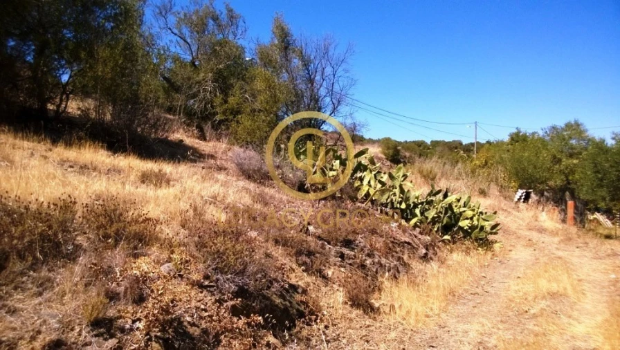 Terreno para Venda em Azinhal Foto 6
