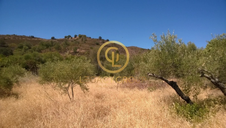 Terreno para Venda em Azinhal Foto 4