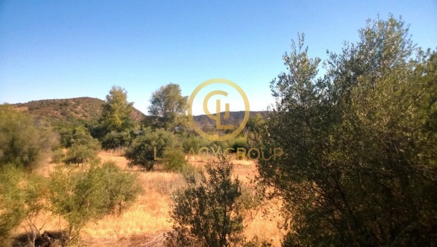 Terreno para Venda em Azinhal Foto 5