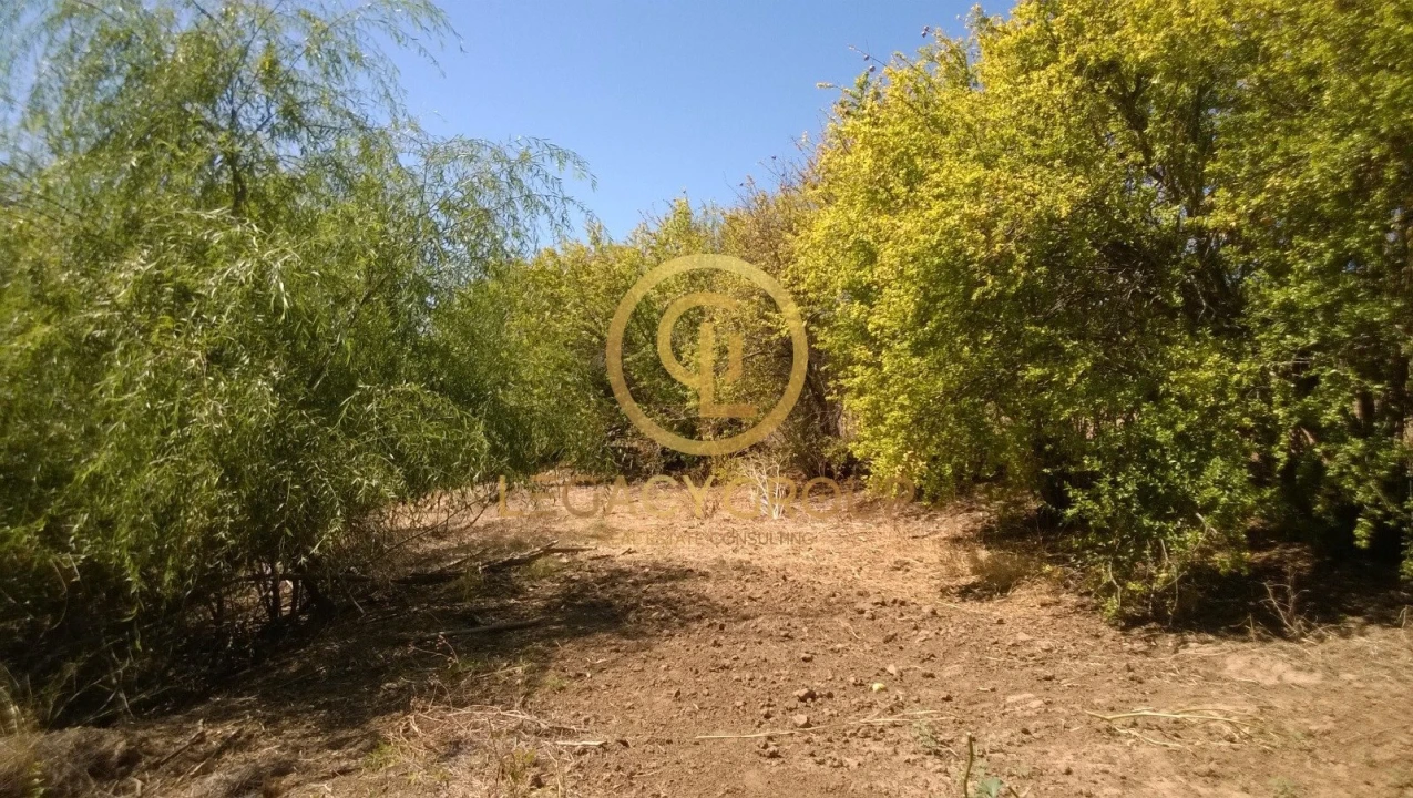 Terreno para Venda em Azinhal Foto 1