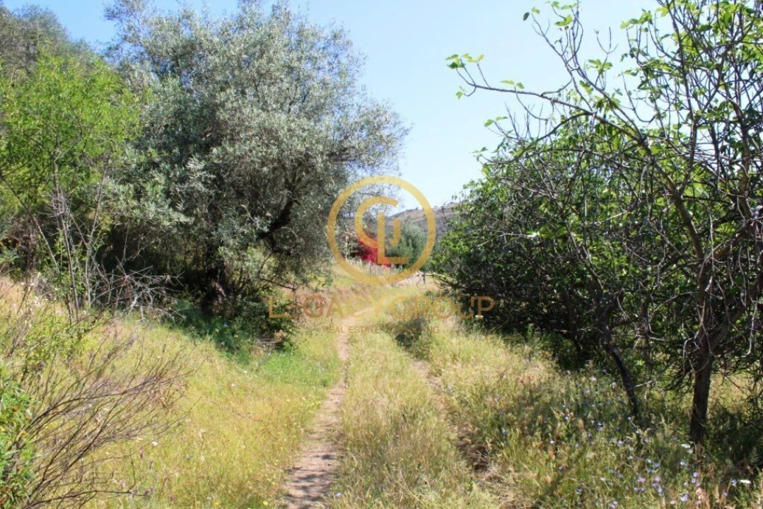 Terreno para Venda em Azinhal Foto 7