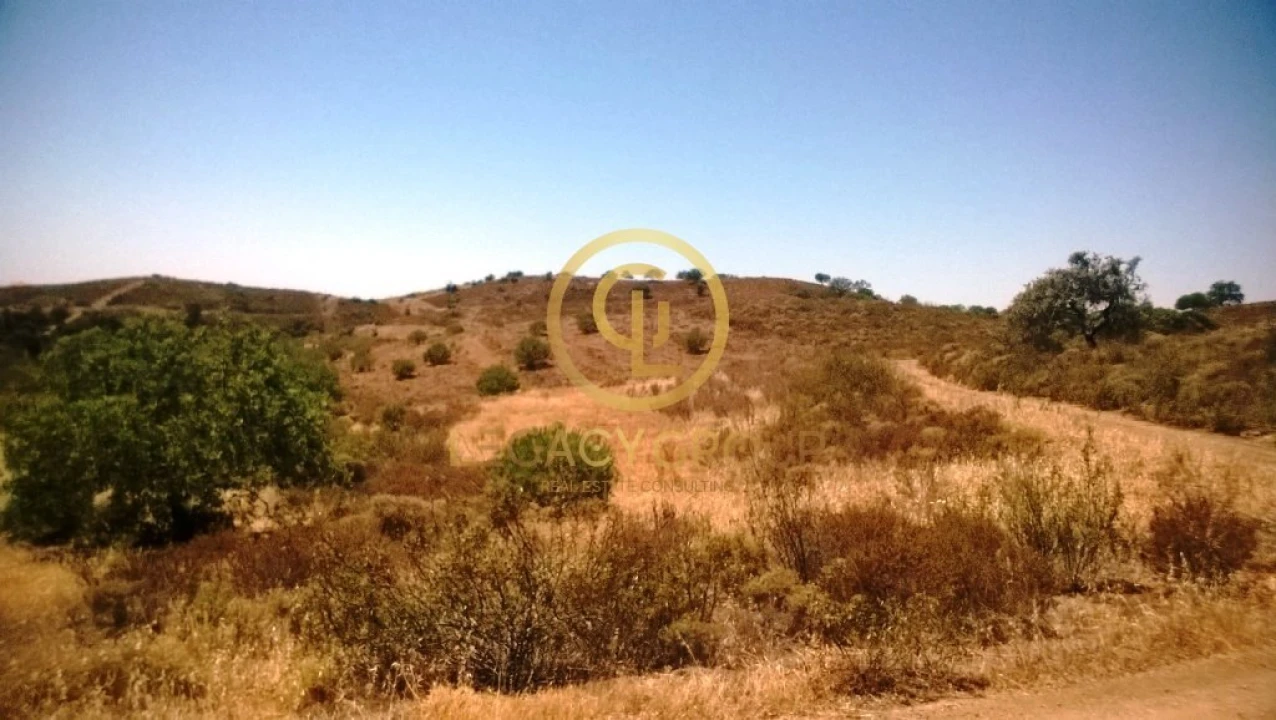 Terreno para Venda em Azinhal Foto 9