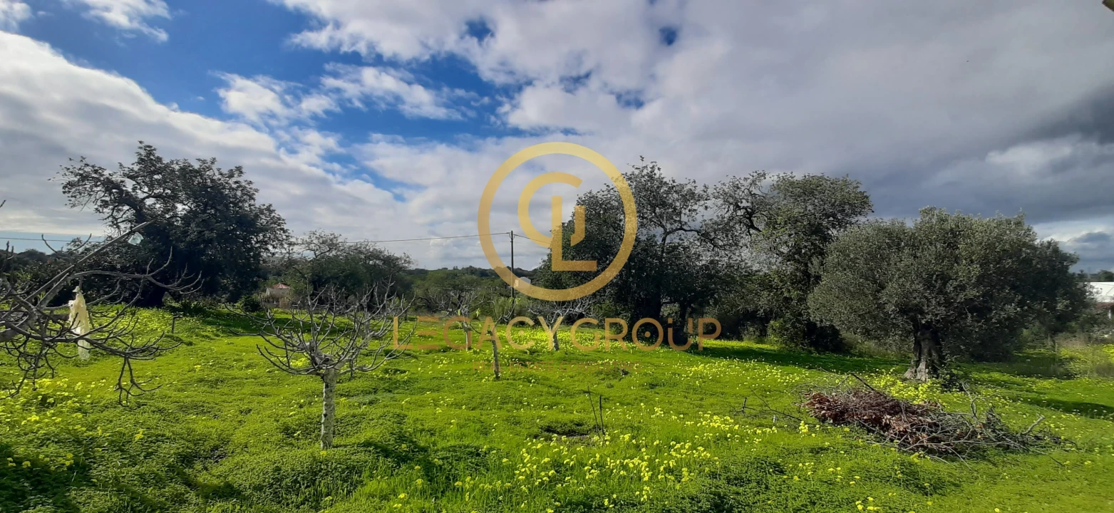 Terreno para Venda em Altura Foto 8